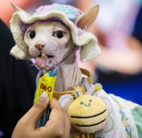 Всеми любимый и уважаемый