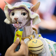 Всеми любимый и уважаемый